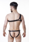 Preview: Harness leather