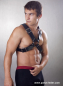 Preview: Harness N°4101