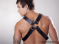 Preview: Harness N°4101