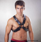 Preview: Harness N°4101