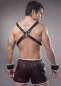 Preview: Harness N°4109 W