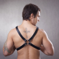 Preview: Harness N°4109 W