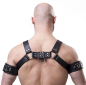 Preview: Harness "Bi-color" 4 cm N°4117 B