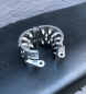 Preview: Ballstretcher "Spike"