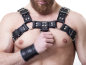 Preview: Harness "Bi-color" 4 cm N°4117 B