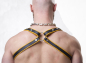 Preview: Harness Leather