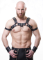 Preview: Harness "Bi-color" 4 cm N°4117 B