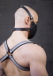 Preview: Harness "bi leather"