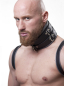 Preview: Harness Leather