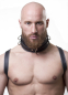 Preview: Harness Leather
