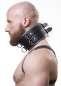 Preview: Harness Leather