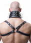 Preview: Harness Leather