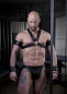 Preview: Harness N°4111
