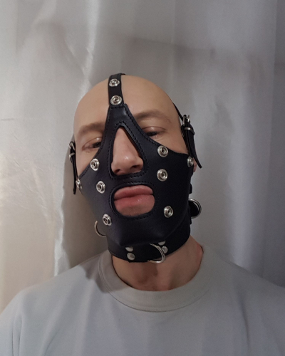 Maske/ Kopfharness + Knebel N°2417