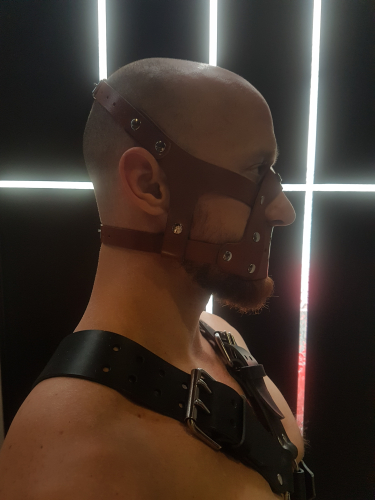 Harness Extra wide leather
