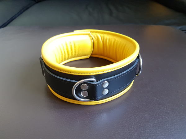 Halsband Leder