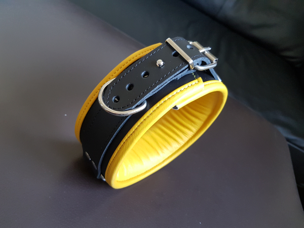 Halsband Leder