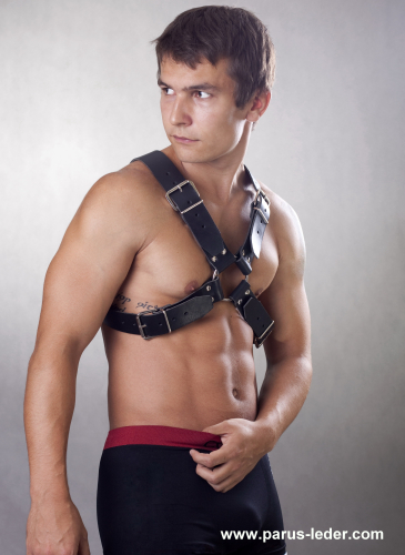 Harness N°4101
