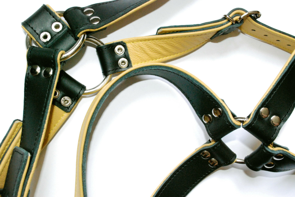 Harness N°4109 G