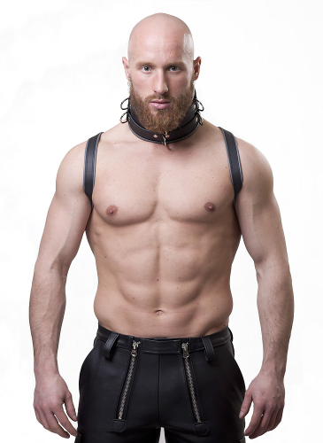 Harness Leather